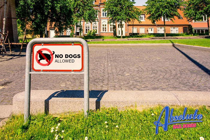 Denying a Dog Entrance to Your Establishment? Think Again